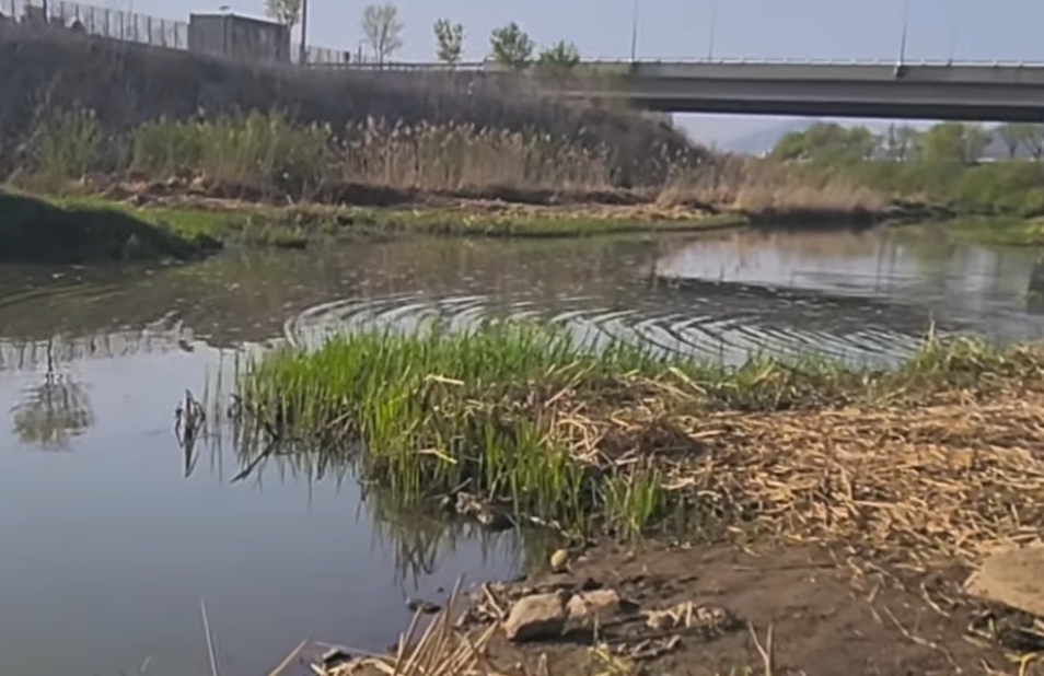 새벽에 터지는 결정적 순간