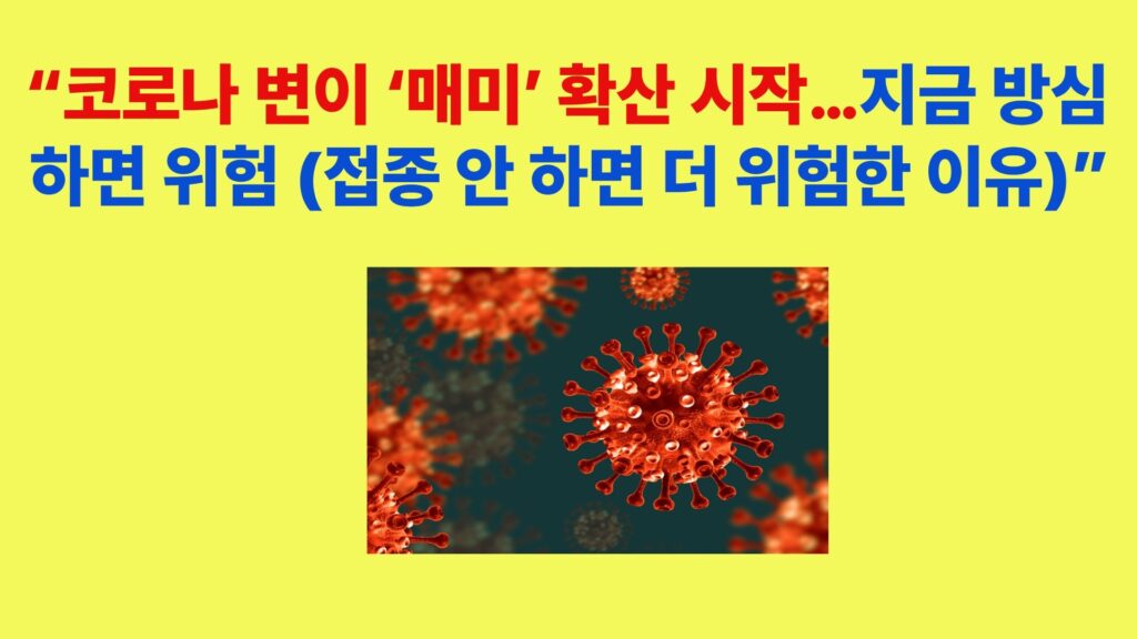 코로나 변이 매미 BA.3.2 확산 상황과 여름 재유행 가능성