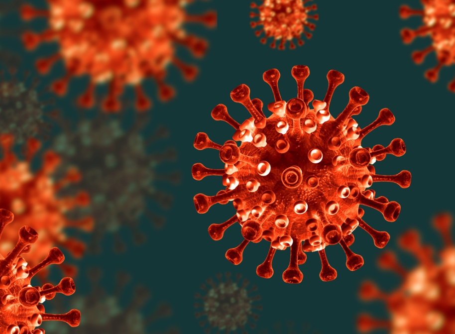 코로나 변이 ‘매미’ 확산