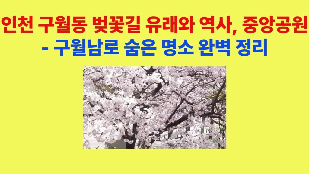 인천 구월동 벚꽃길 중앙공원 벚꽃 풍경 봄 산책 명소