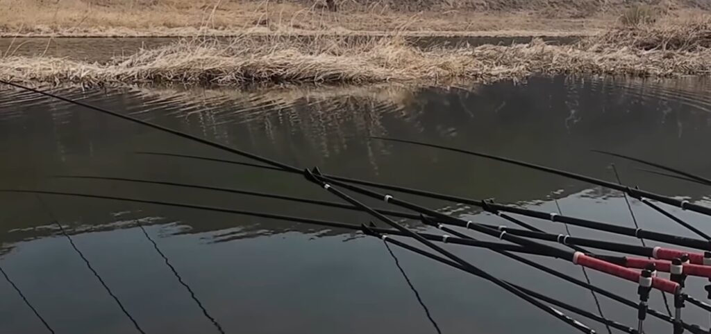 수초 낚시 핵심 공략법