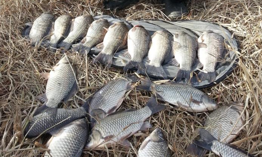 자연스러움과 상황 대응