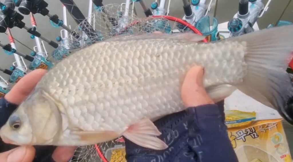 ‘판단과 끈기’