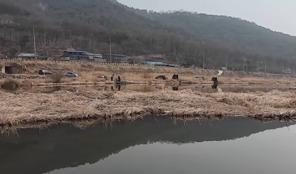 미끼 선택, 왜 글루텐이 먹혔나