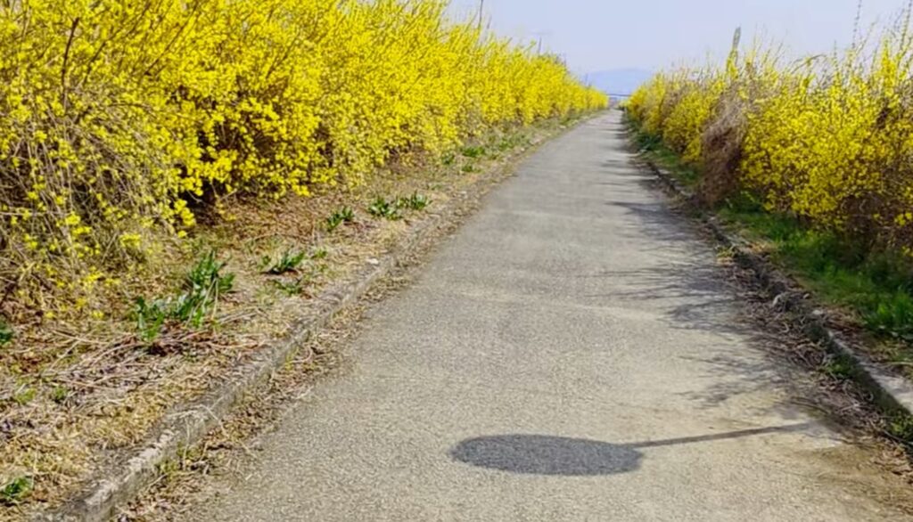 유천강 체육공원 인근 하천 구간