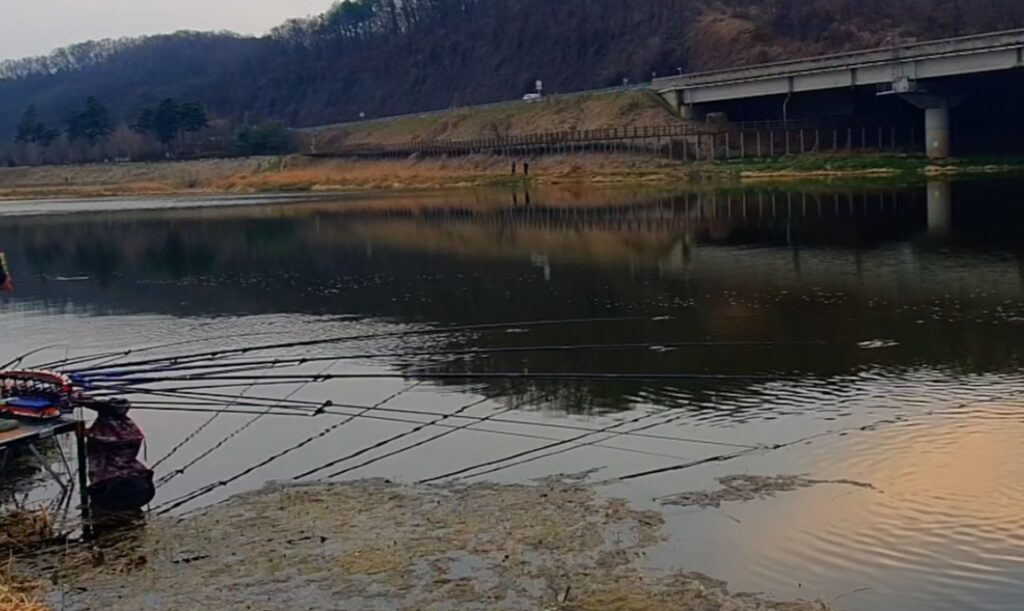 월척이 나오는 포인트의 특징