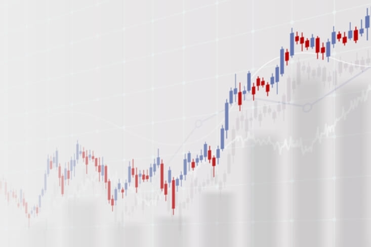 투자 원칙부터 배워야