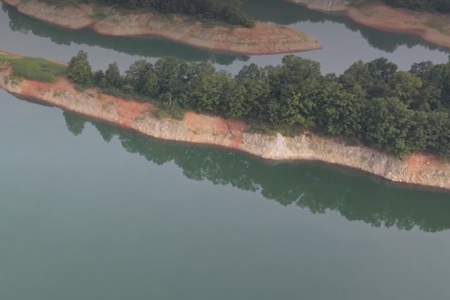 미끼 선택 전략