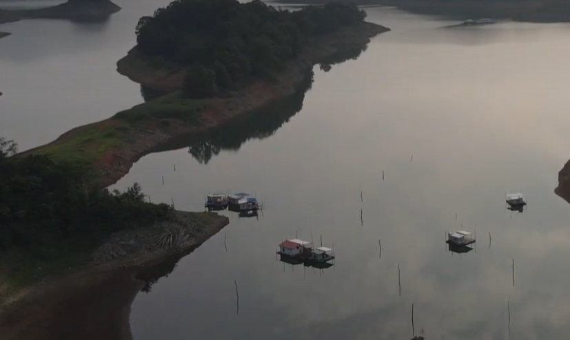 붕어 입질 황금 시간대