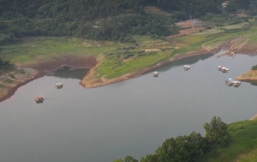 수도권 출발 기준