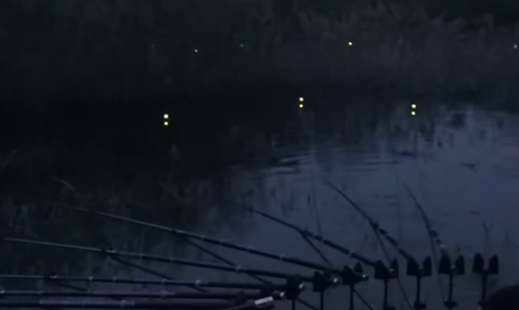 중요한 요소라는 것