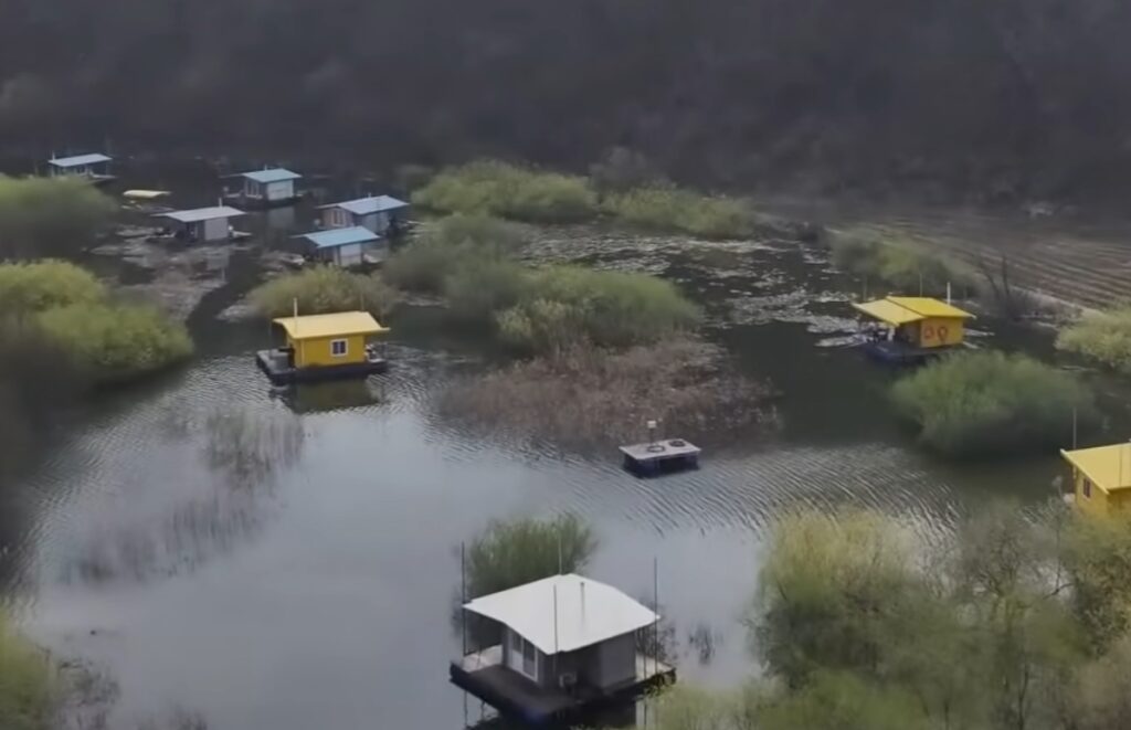 묵직한 느낌의 입질이 들어왔고