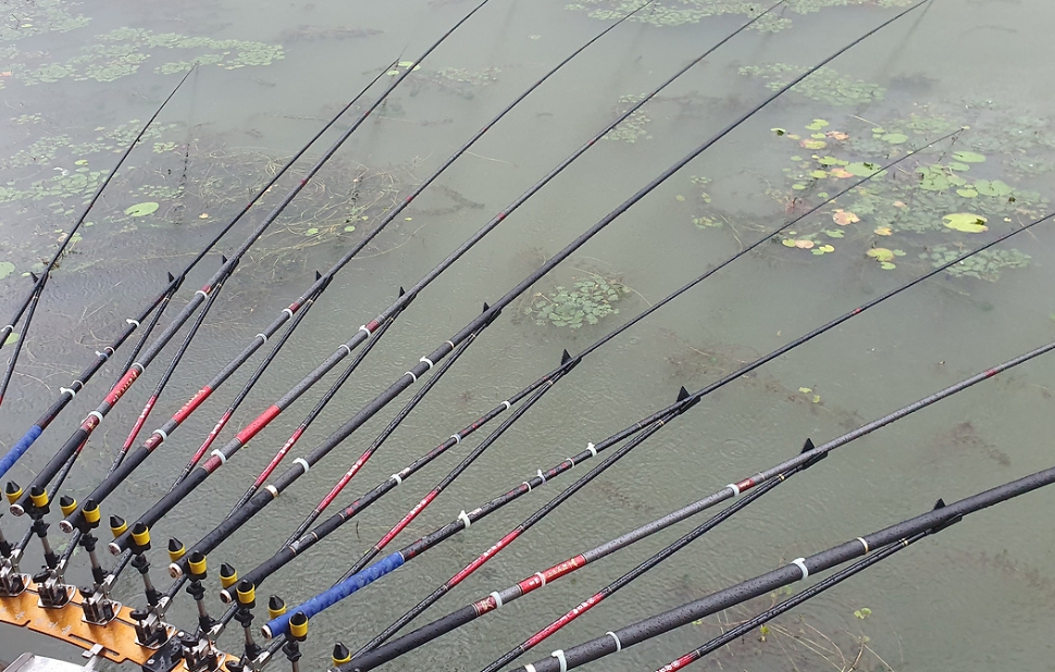 초저녁 입질이 중요