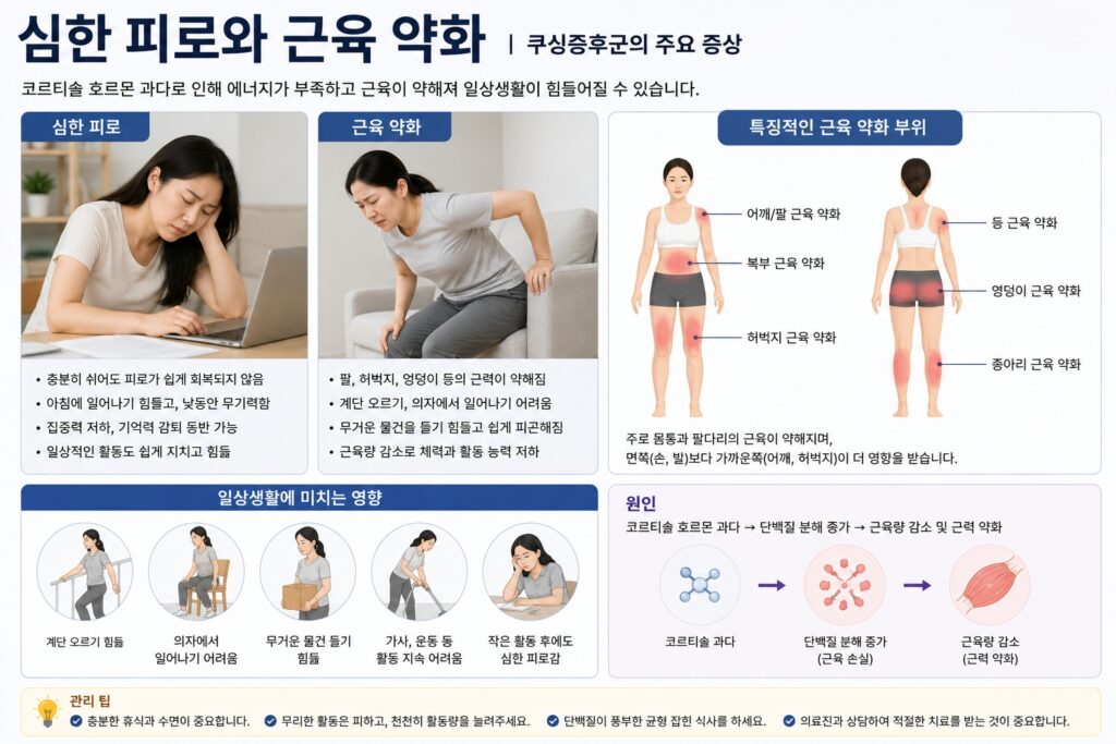 심한 피로와 근육 약화