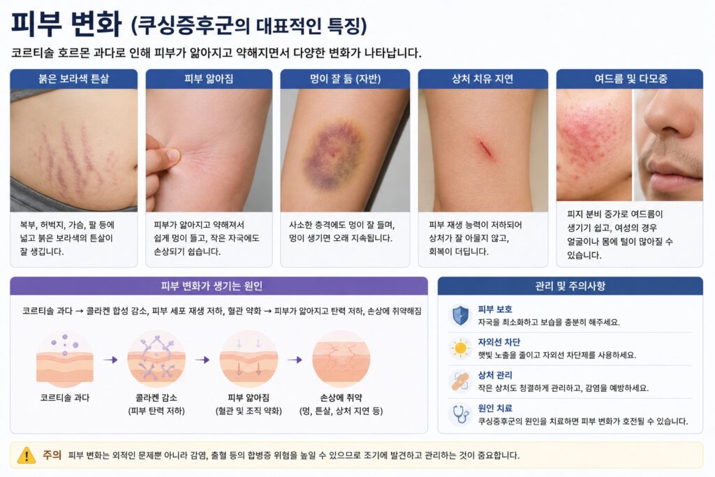 피부 변화