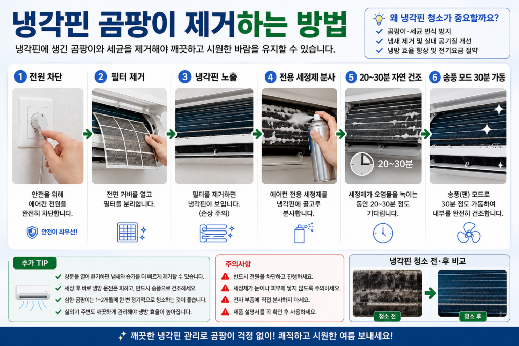 냉각핀 곰팡이 제거하는 방법