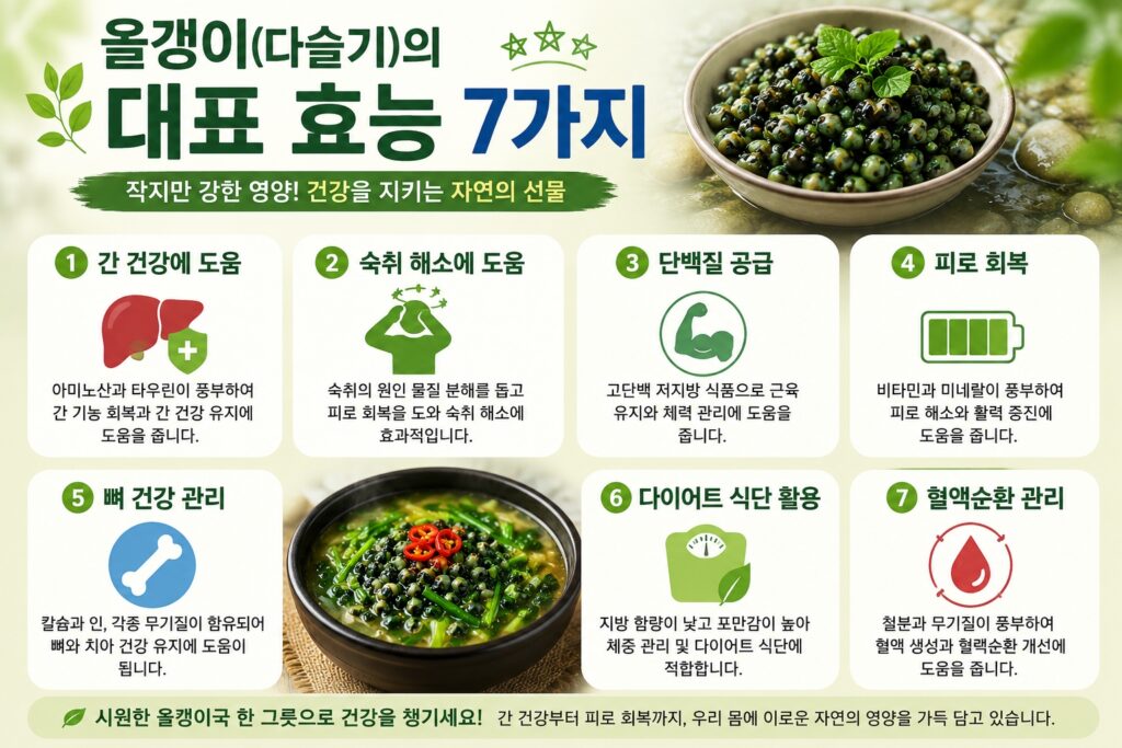 올갱이의 대표 효능 7가지