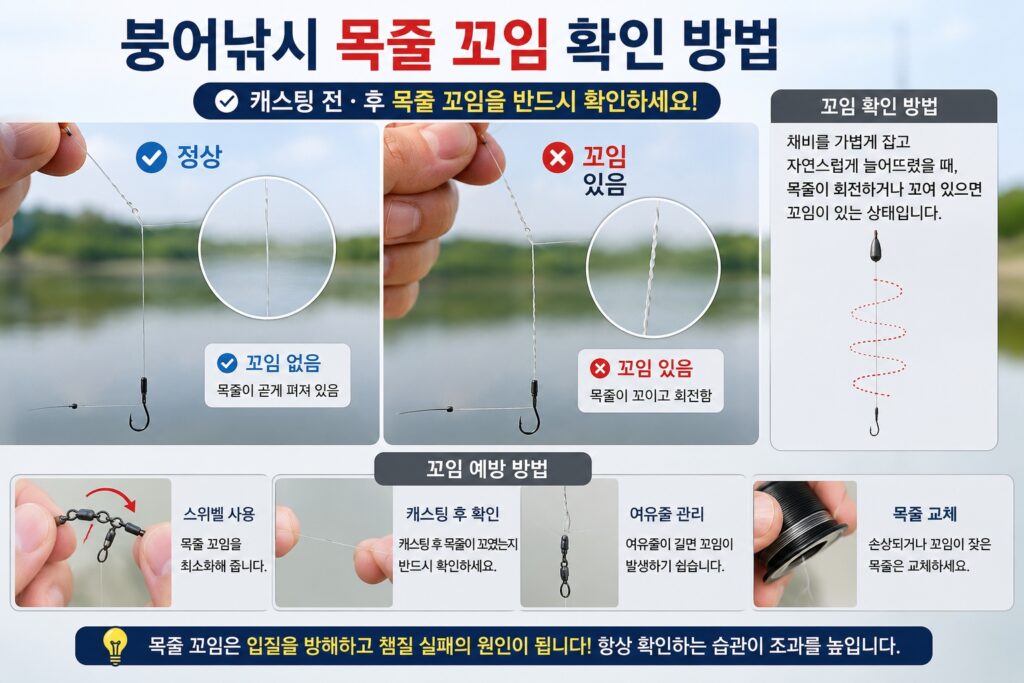 목줄 관리 요령