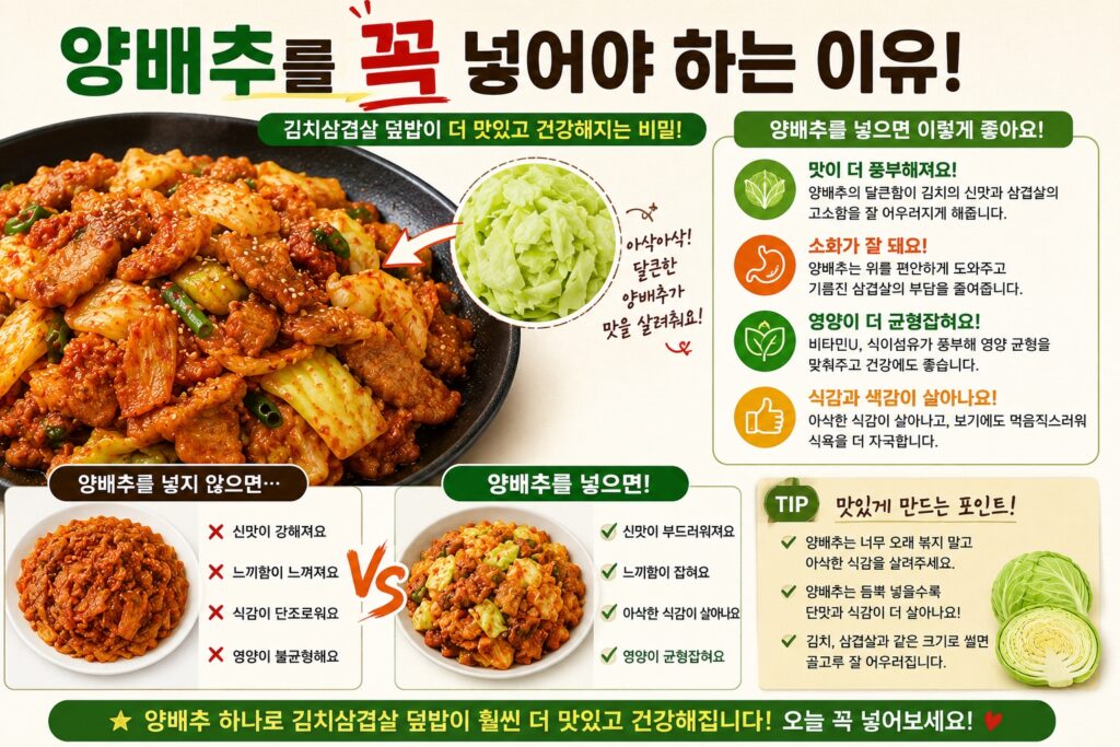 양배추를 꼭 넣어야 하는 이유