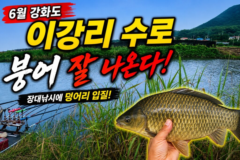 6월 강화도 이강리수로 장대낚시로 허리급 붕어가 잘 나오는 대물 붕어낚시 포인트 전경