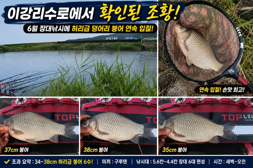 이강리수로에서 확인된 조황