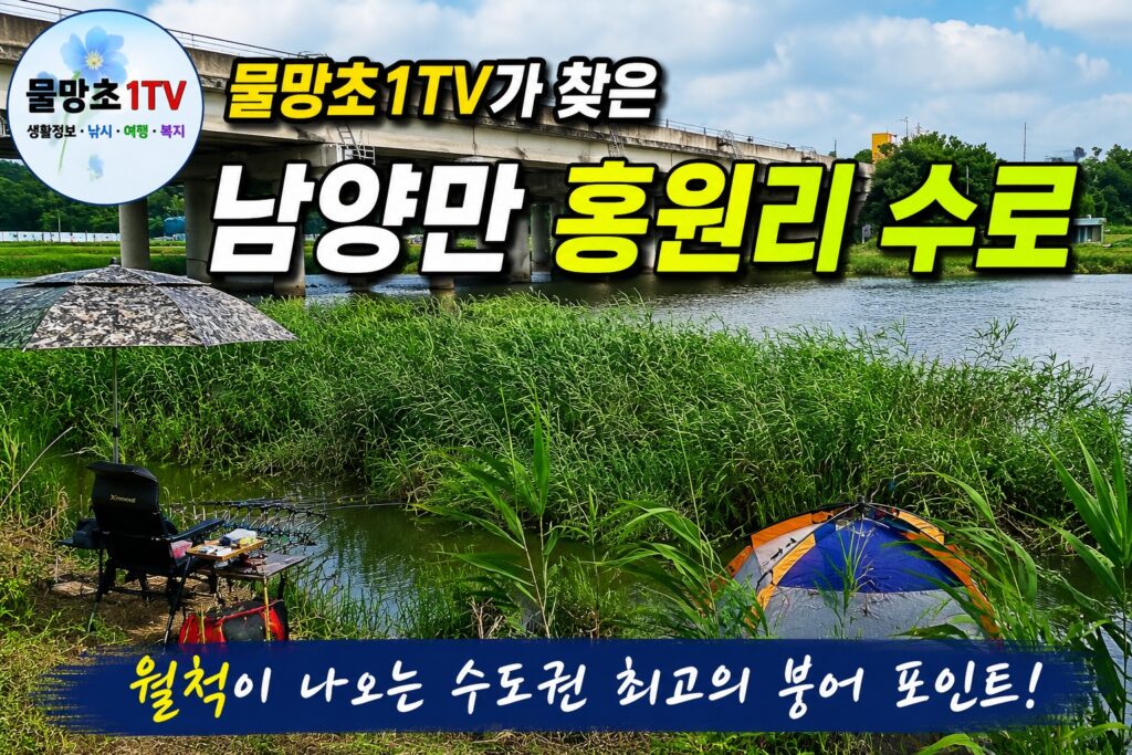 물망초1TV가 찾은 남양만
