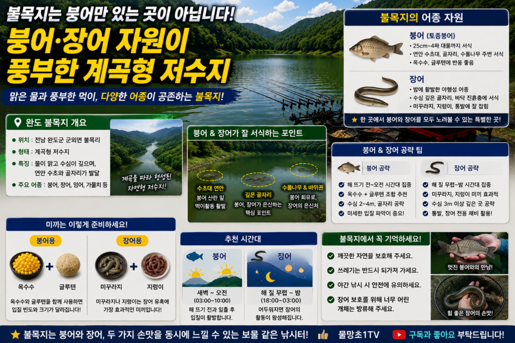 붕어뿐 아니라 장어 자원도 있는 곳