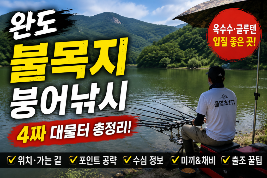 완도 불목지 붕어낚시 포인트와 대물 붕어 공략 정보